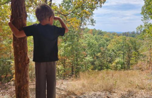 The Windstorm Cabin - Pet-friendly & a 2-person Jacuzzi hot tub! - Foto 43