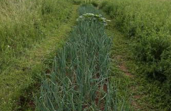 Gacka Valley - Foto 30