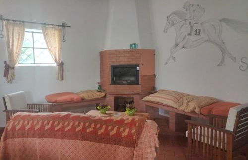 Tenuta Vallenoci - Foto 4