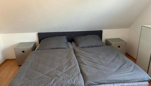 Ferienhaus Darß Fischland - Foto 5