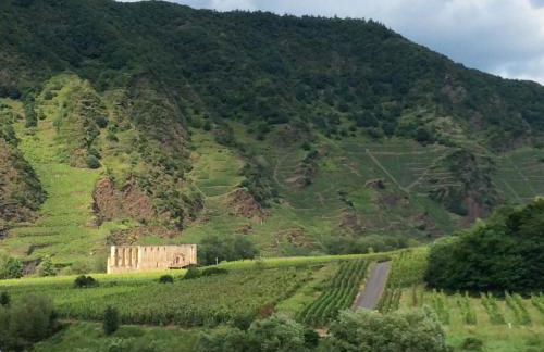 Storchenhaus Bremm - Foto 39