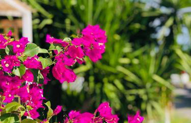 Peaceful Cottage House - Private Garden - Foto 37