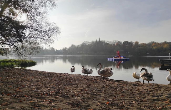Attraktive Ferienwohnung in Gorow - Foto 35