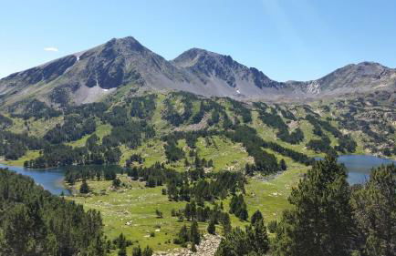 Le Renne Blanc Pyrénées de France - Foto 56