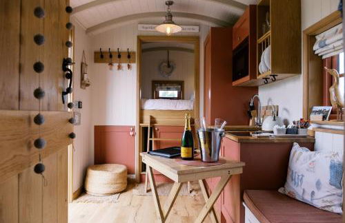 Shepherd's Hut- Hot Tub- Wellness Spa- Wood Burner - Foto 17