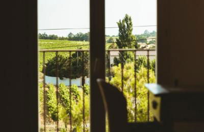 Le jardin des vignes - Foto 27