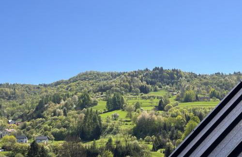 Domki Pienińskie Tarasy - Photo 45