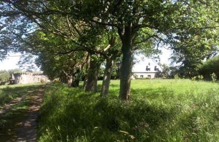 Petite maison du manoir de Keryvoas - Foto 12