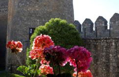 Pozolico Hotel Rural - Foto 1