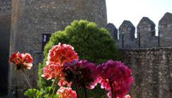 Pozolico Hotel Rural - Foto 1, Other