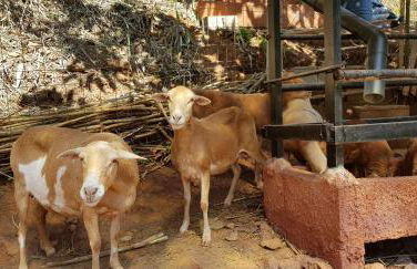 Cuevas De Barreto - Foto 62