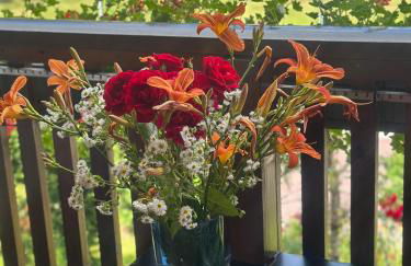 LA CASA DI SURI - Photo 35