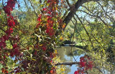 Ferienwohnung Julianna - Foto 40