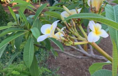 Casa Vacanze Astori - Foto 28