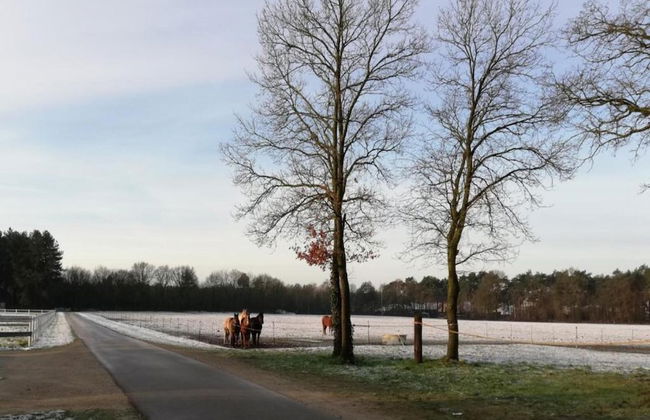 Forest Chalet in Lanklaar - Foto 39