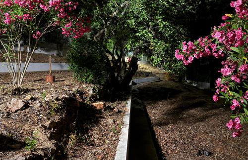 Solar dos Lirios - Foto 67