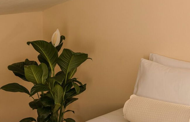 Griffon Kymi Hotel previously known as Valledi Village - Foto 79