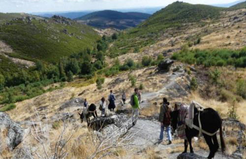 SOLAR DAS ARCAS Manor House - Foto 26