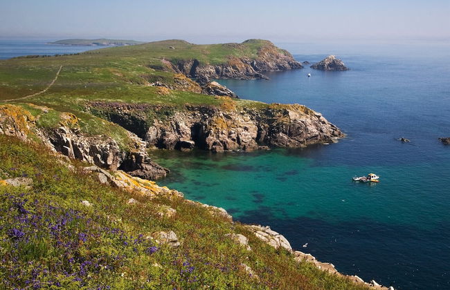 Saltee View Holiday Home - Foto 30