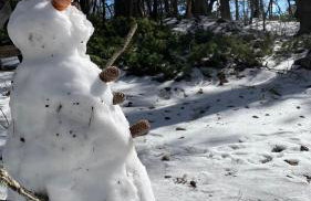 Woods Etna Chalet - Photo 15