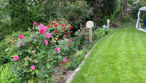 Monis Home - Foto 5, Garden