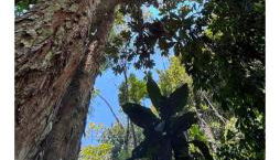 Loft com piscina natural em Cachoeiras de Macacu - Foto 5