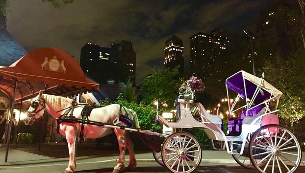 Giro romantico in carrozza (VIP-privato) a Central Park 1964 - Foto 4, Di fronte a Tavern on the Green.