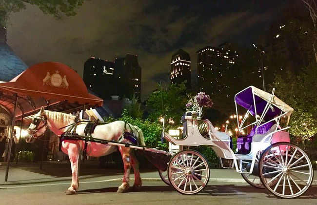 Giro romantico in carrozza (VIP-privato) a Central Park 1964 - Foto 4
