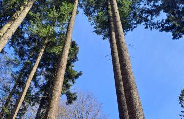 Jaśkowe Wzgórze domki na wynajem Szymbark, balia, Domek nr 2 i 3 - Foto 23
