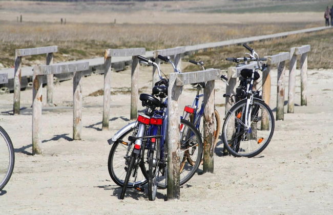 Ferienwohnung, St. Peter - Ording - Photo 15