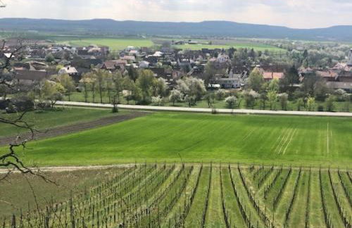 Ferienwohnung Weinberg - Foto 23