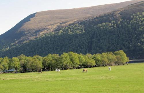 1 Bed in Alness oc-ca232 - Foto 10