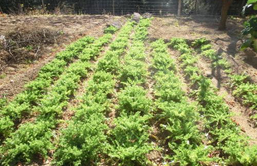 Apartamento en pleno Montseny Mas Romeu Turisme Rural - Foto 56