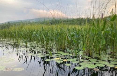 Whispering Waters Farmhouse and Wedding Barn - Foto 35
