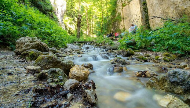 Escalade à travers le canyon, tyrolienne et randonnée dans les Carpates - Photo 3