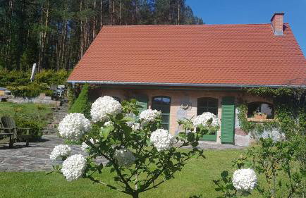 Pustki Rekowskie - Zielone Serce Kaszub - Foto 1