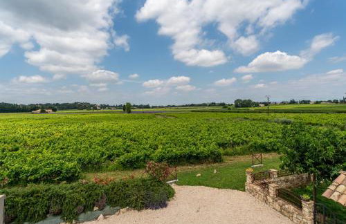 Mas de la Tontine - Foto 32