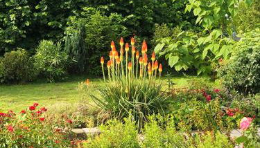 Ferienwohnung mit Blick auf den See - Photo 4, Garden