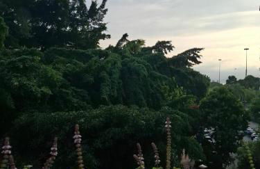 Studio Gloria D'lart - Foto 12