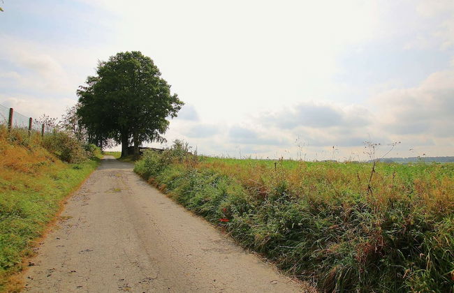 Stunning Cottage in Jehonville With Sauna - Photo 37