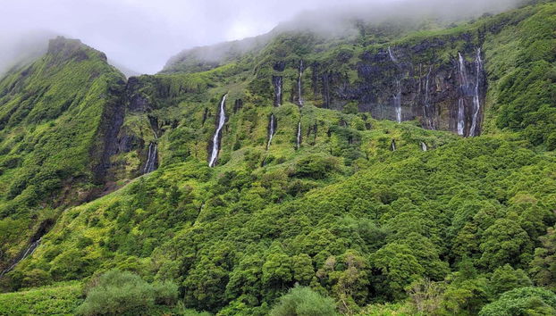 Des cascades au coeur d'un paysage luxuriant