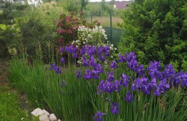 Podlaskie Żuczki - Foto 24