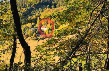 Wohnung am Waldrand am Tanneneck - Foto 31