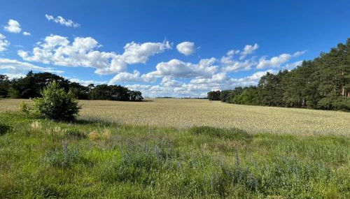 TOP-Ferienwohnung bei Berlin, bis 3 Gäste, Terrasse und Garten - Foto 3