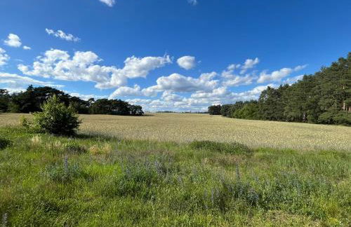 TOP-Ferienwohnung bei Berlin, bis 3 Gäste, Terrasse und Garten - Foto 3