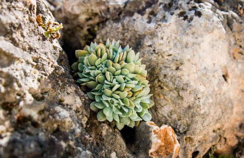 Residence Verdeluna - Foto 6