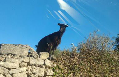 "la Casina del forno con piscina fra Catania e Siracusa " - Foto 42