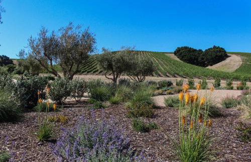 Blue Door Retreat - Foto 40