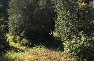 Sunsetview house - Photo 8