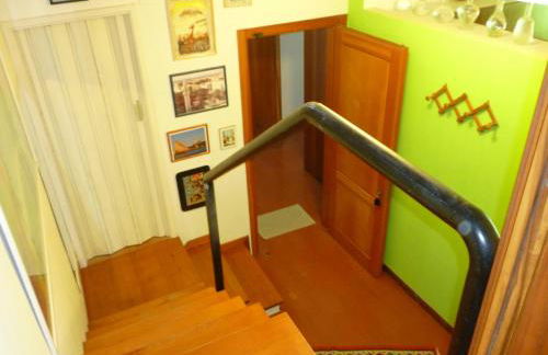 il geranio - Foto 13